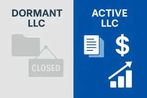 Comparison between dormant inactive LLC with closed sign versus active LLC with revenue documents and growth chart